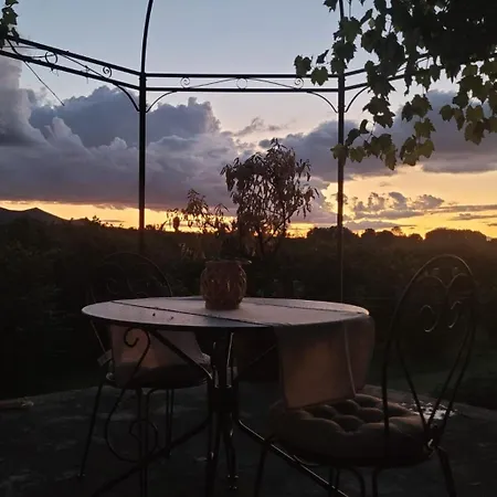 La Tenuta Del Conte Vignanello