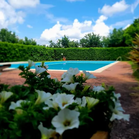 La Tenuta Del Conte